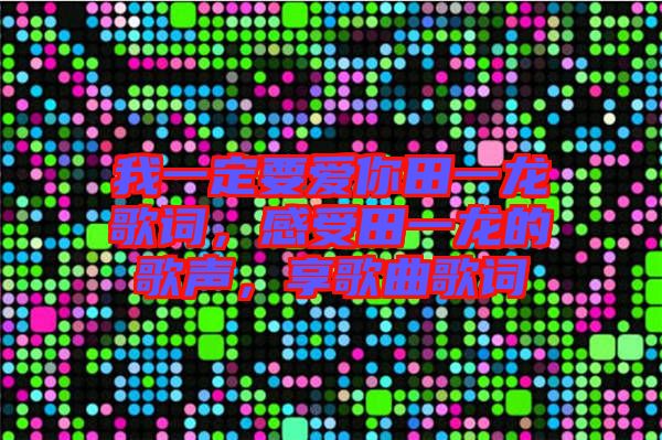 我一定要愛你田一龍歌詞，感受田一龍的歌聲，享歌曲歌詞