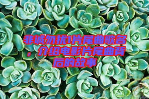 非誠勿擾1片尾曲歌名，介紹電影片尾曲背后的故事