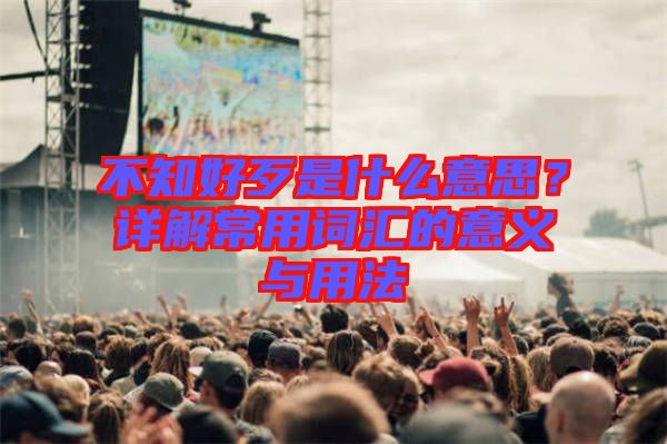 不知好歹是什么意思？詳解常用詞匯的意義與用法