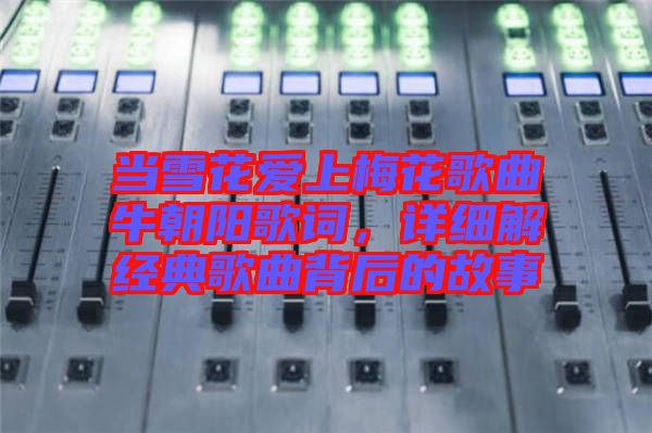 當(dāng)雪花愛上梅花歌曲牛朝陽歌詞，詳細(xì)解經(jīng)典歌曲背后的故事