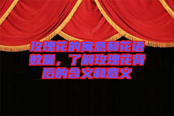 玫瑰花的寓意和花語數(shù)量，了解玫瑰花背后的含義和意義