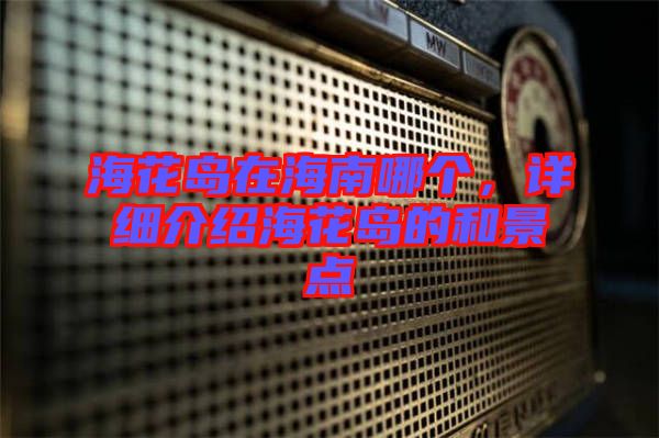 ?；◢u在海南哪個(gè)，詳細(xì)介紹海花島的和景點(diǎn)