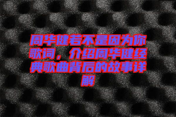 周華健若不是因為你歌詞，介紹周華健經(jīng)典歌曲背后的故事詳解