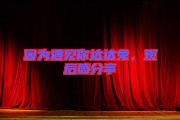 因?yàn)橛鲆娔氵_(dá)達(dá)兔，觀后感分享