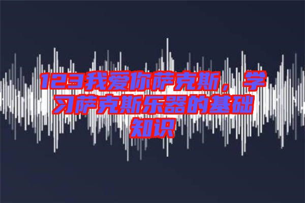 123我愛你薩克斯，學(xué)習(xí)薩克斯樂器的基礎(chǔ)知識