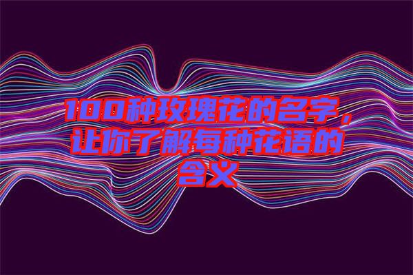 100種玫瑰花的名字，讓你了解每種花語(yǔ)的含義