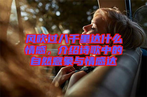 風吹過八千里達什么情感，介紹詩歌中的自然意象與情感達
