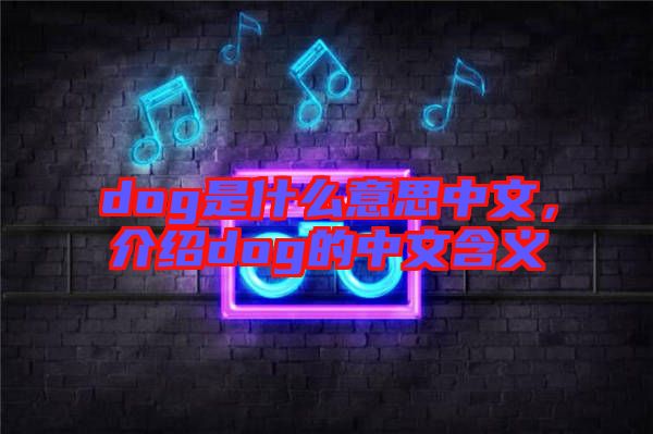 dog是什么意思中文，介紹dog的中文含義