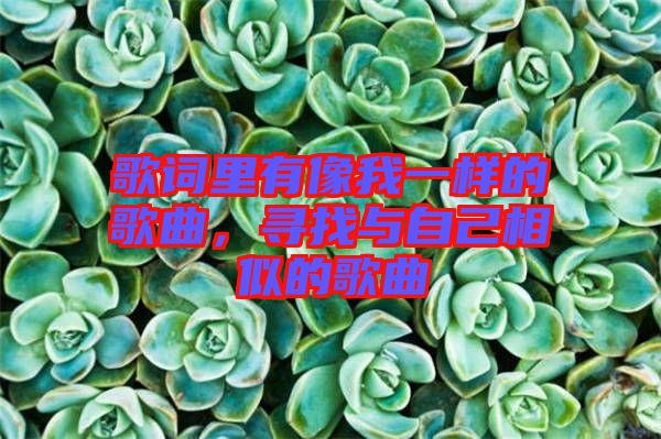 歌詞里有像我一樣的歌曲，尋找與自己相似的歌曲