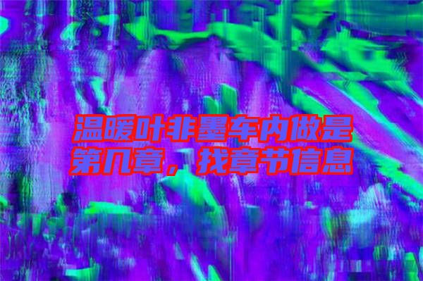 溫暖葉非墨車內(nèi)做是第幾章，找章節(jié)信息