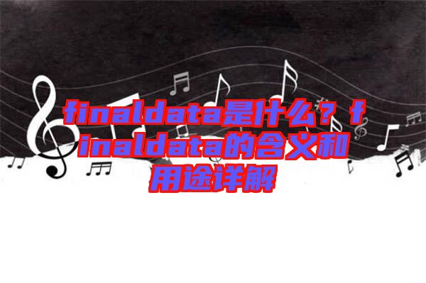 finaldata是什么？finaldata的含義和用途詳解