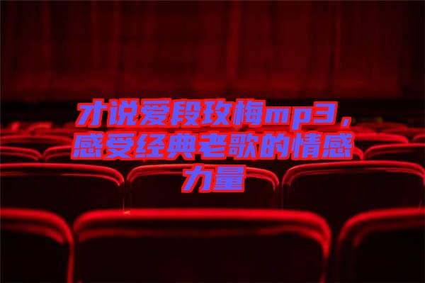 才說愛段玫梅mp3，感受經(jīng)典老歌的情感力量