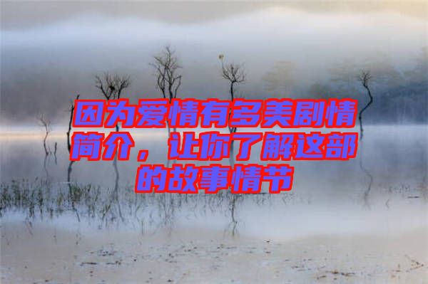 因為愛情有多美劇情簡介，讓你了解這部的故事情節(jié)