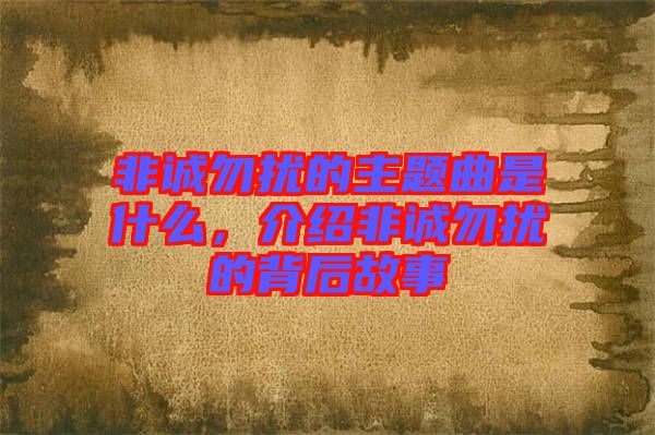非誠勿擾的主題曲是什么，介紹非誠勿擾的背后故事