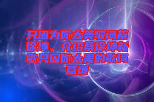只因?yàn)槟闾栏柙~蔡徐坤，介紹蔡徐坤新歌只因你太美的歌詞意境