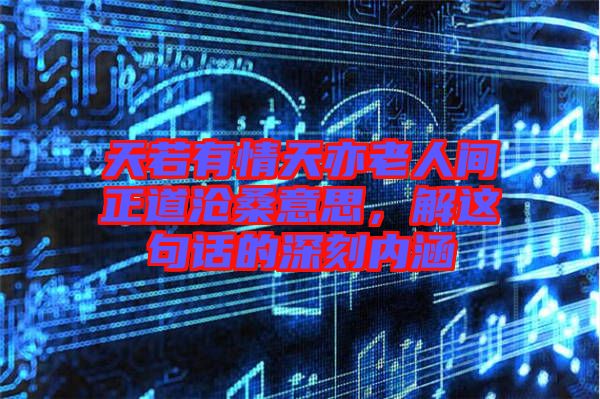 天若有情天亦老人間正道滄桑意思，解這句話的深刻內涵