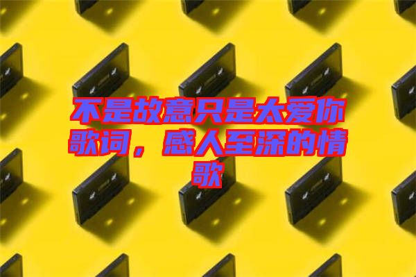 不是故意只是太愛(ài)你歌詞，感人至深的情歌