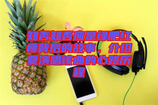知否知否應(yīng)是綠肥紅瘦背后的故事，介紹夏演唱該曲的心路歷程