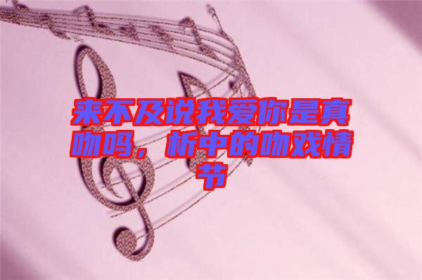 來(lái)不及說(shuō)我愛你是真吻嗎，析中的吻戲情節(jié)
