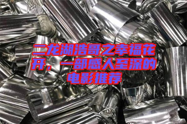 二龍湖浩哥之幸福花開，一部感人至深的電影推薦