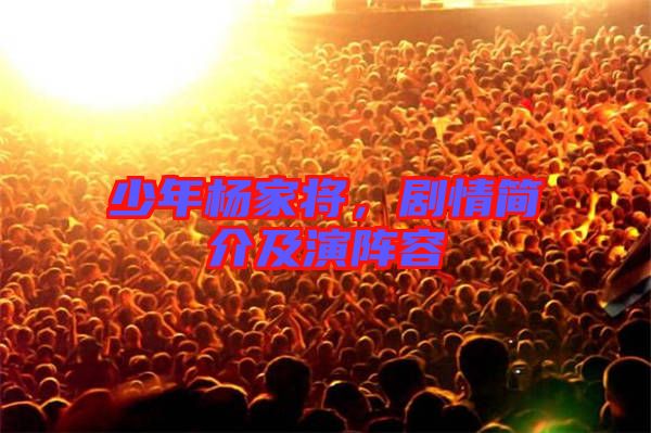 少年楊家將，劇情簡(jiǎn)介及演陣容
