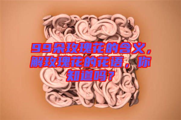 99朵玫瑰花的含義，解玫瑰花的花語，你知道嗎？