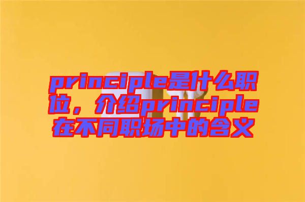 principle是什么職位，介紹principle在不同職場中的含義