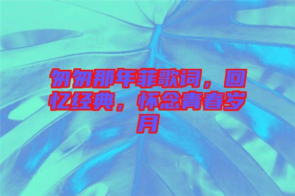 匆匆那年菲歌詞，回憶經(jīng)典，懷念青春歲月