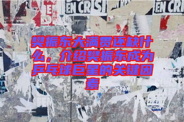 樊振東大滿貫還缺什么，介紹樊振東成為乒乓球巨星的關(guān)鍵因素