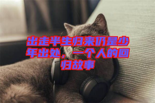出走半生歸來仍是少年出處，一個人的回歸故事