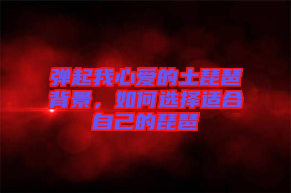 彈起我心愛的土琵琶背景，如何選擇適合自己的琵琶
