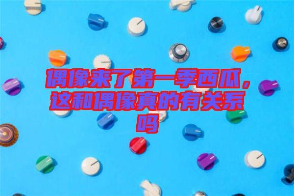 偶像來(lái)了第一季西瓜，這和偶像真的有關(guān)系嗎