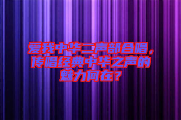 愛我中華二聲部合唱，傳唱經(jīng)典中華之聲的魅力何在？