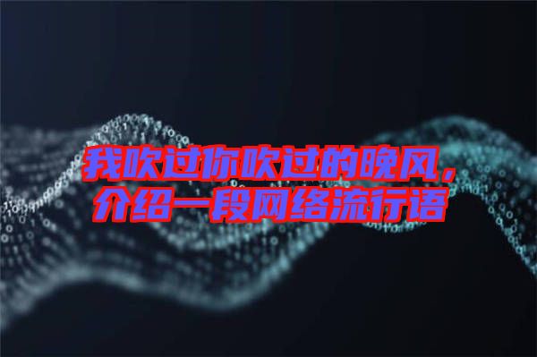 我吹過你吹過的晚風，介紹一段網(wǎng)絡流行語