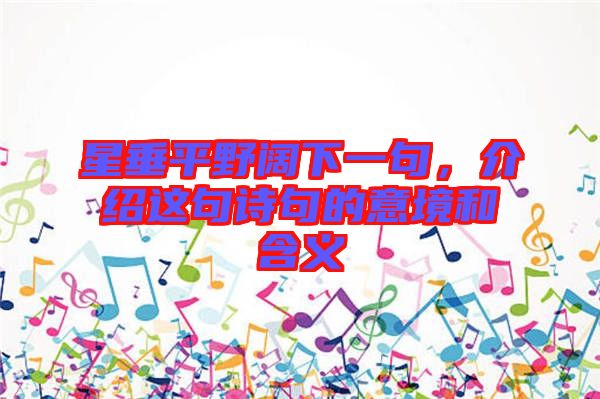 星垂平野闊下一句，介紹這句詩句的意境和含義