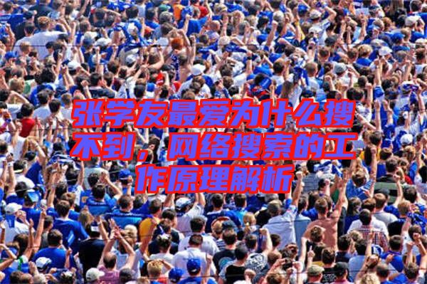 張學(xué)友最愛為什么搜不到，網(wǎng)絡(luò)搜索的工作原理解析