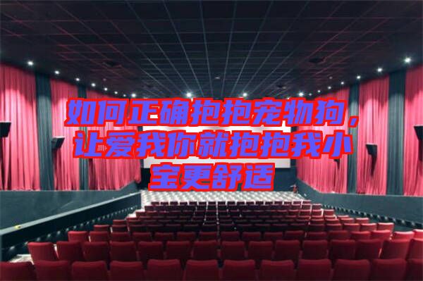 如何正確抱抱寵物狗，讓愛我你就抱抱我小寶更舒適