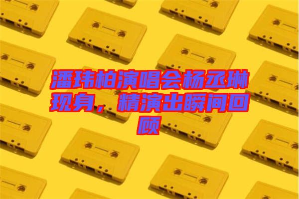 潘瑋柏演唱會(huì)楊丞琳現(xiàn)身，精演出瞬間回顧