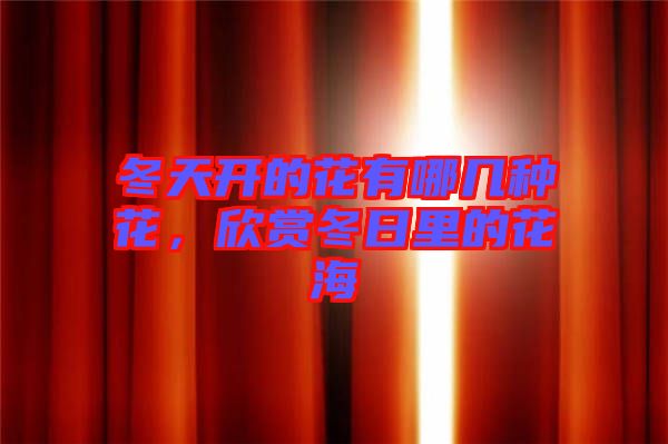 冬天開的花有哪幾種花，欣賞冬日里的花海