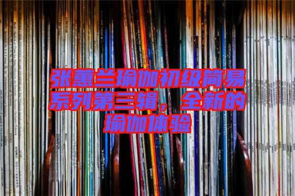 張蕙蘭瑜伽初級(jí)簡(jiǎn)易系列第三輯，全新的瑜伽體驗(yàn)