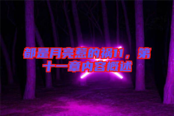 都是月亮惹的禍11，第十一章內(nèi)容概述