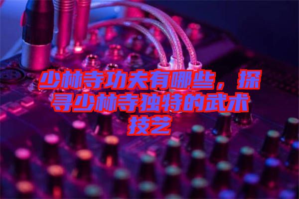 少林寺功夫有哪些，探尋少林寺獨特的武術技藝