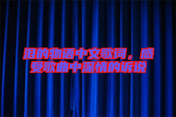 淚的物語(yǔ)中文歌詞，感受歌曲中深情的訴說(shuō)