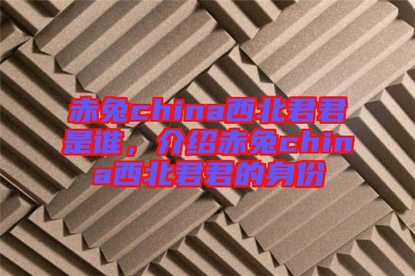 赤兔china西北君君是誰(shuí)，介紹赤兔china西北君君的身份