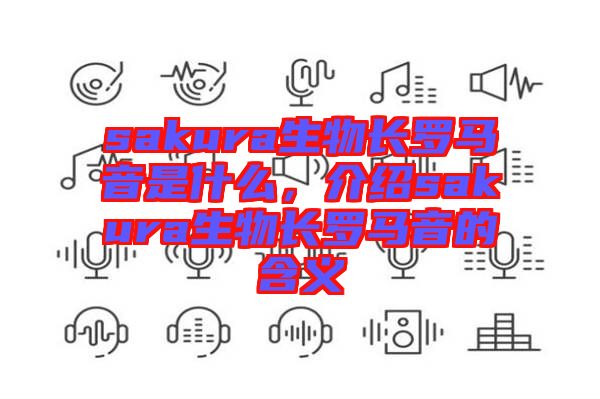 sakura生物長羅馬音是什么，介紹sakura生物長羅馬音的含義