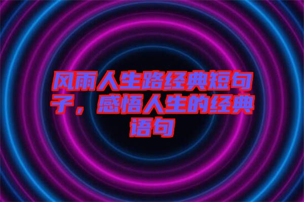 風(fēng)雨人生路經(jīng)典短句子，感悟人生的經(jīng)典語句
