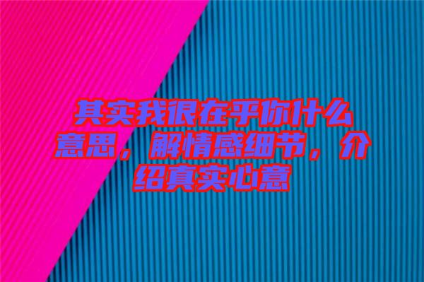 其實(shí)我很在乎你什么意思，解情感細(xì)節(jié)，介紹真實(shí)心意