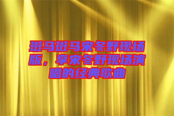 斑馬斑馬宋冬野現(xiàn)場(chǎng)版，享宋冬野現(xiàn)場(chǎng)演唱的經(jīng)典歌曲