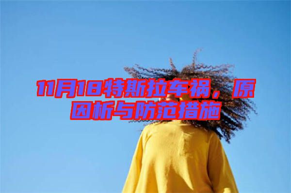 11月18特斯拉車禍，原因析與防范措施