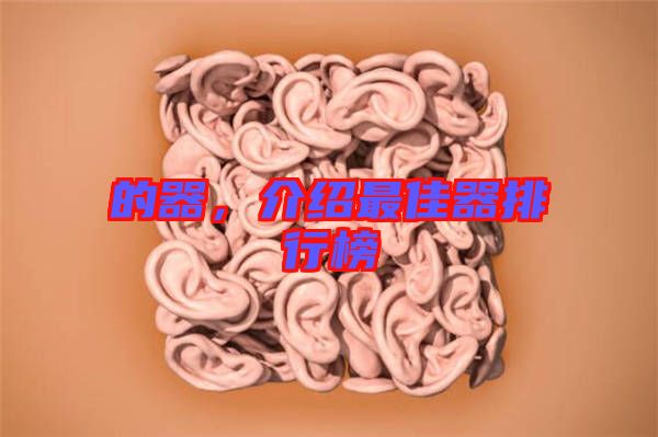 的器，介紹最佳器排行榜